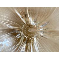 Mats Jonasson Anemoon schaal